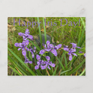 ¡Feliz Día del Iris! Postal