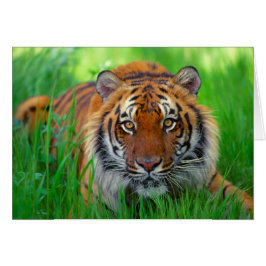 Feliz Día del Padre