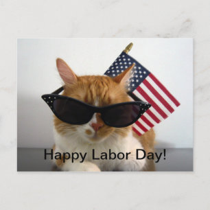 Feliz Día del Trabajo Gato Genial con Tarjeta Post