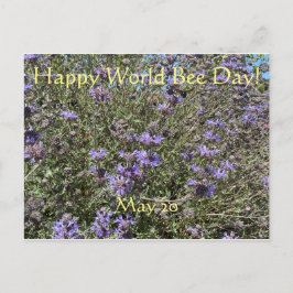 ¡Feliz Día Mundial de las Abejas! Postal