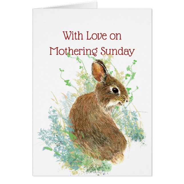 Feliz Domingo Conejo Conejo Conejo Conejo Conejo C (Frente)