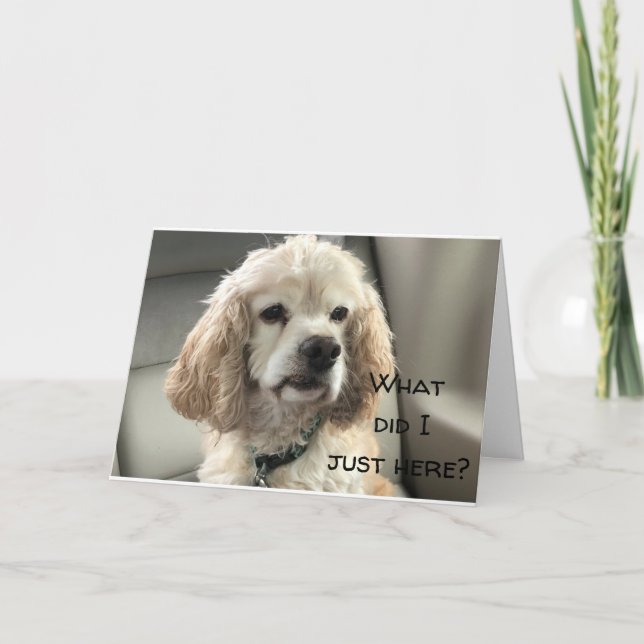 FELIZ DULCE **18** DE LA TARJETA COCKER SPANIEL (Anverso)