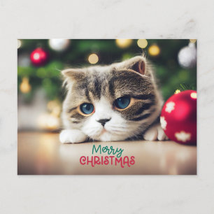 Feliz felino de Navidad con ojos azules