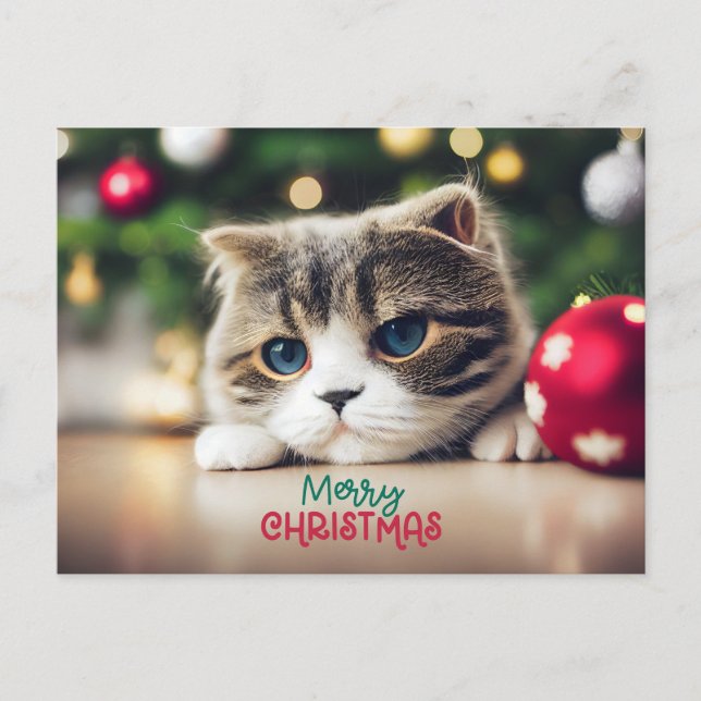 Feliz felino de Navidad con ojos azules (Anverso)