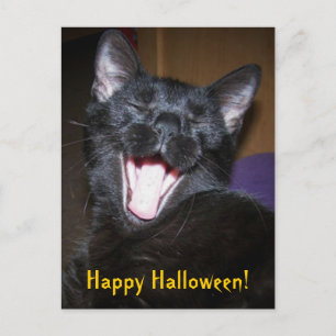 Feliz Halloween Bostezo Postal de Gato Negro