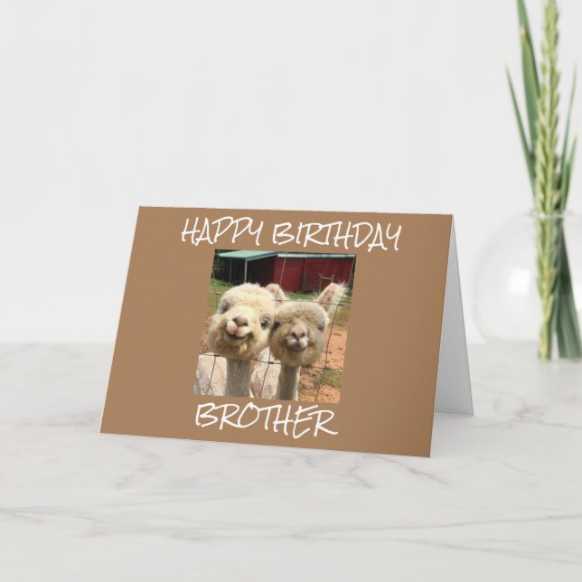 **FELIZ HERMANO DE CUMPLEAÑOS** DE LA TARJETA CUTE (Anverso)