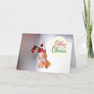 Feliz Hummingbird navidad con navidad descansando