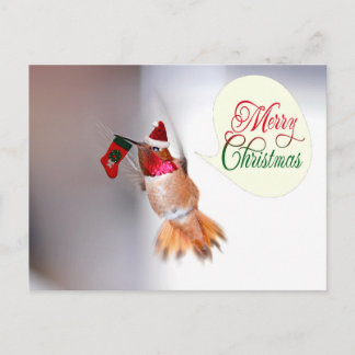Feliz Hummingbird navidad con navidad descansando