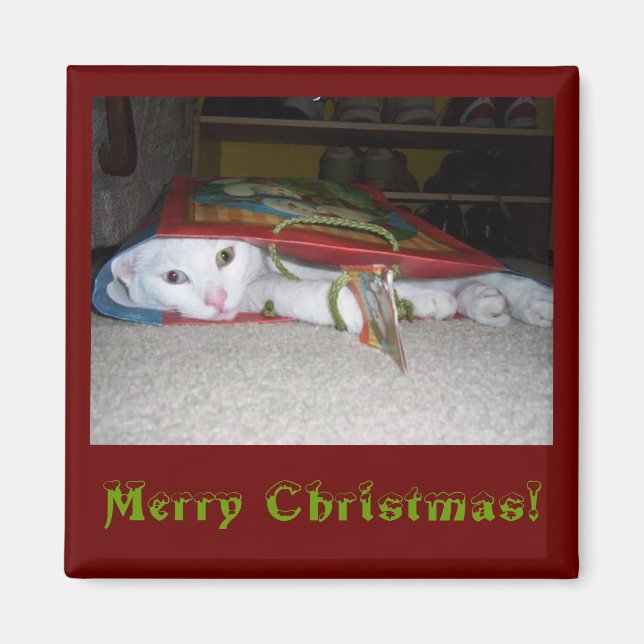 ¡Feliz imán navideño! (Frente)