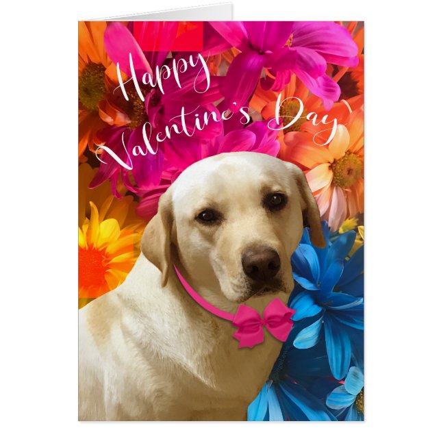 Feliz Mascota de San Valentín, perro, flor de labr (Frente)