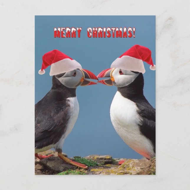 Feliz Navidad (Anverso)