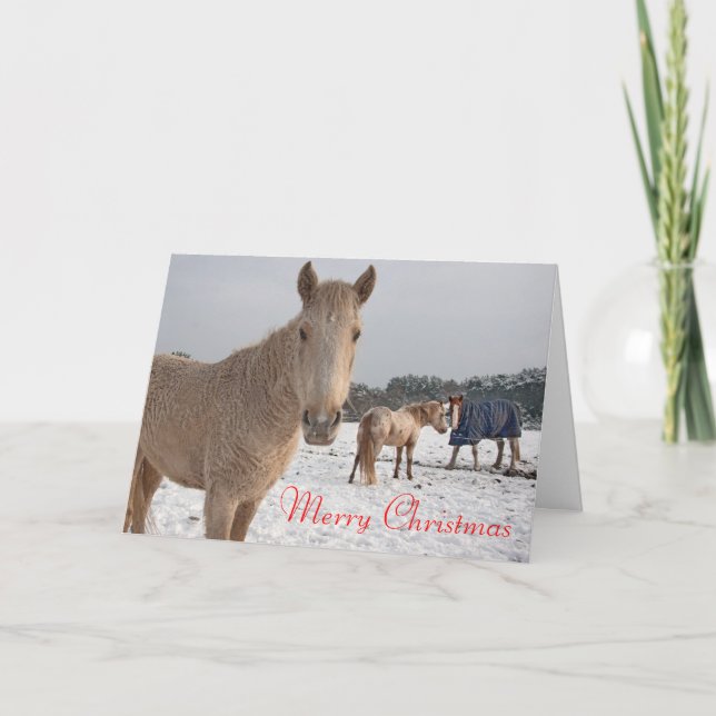 Feliz Navidad (Anverso)