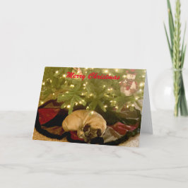Feliz Navidad