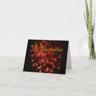 Feliz Navidad