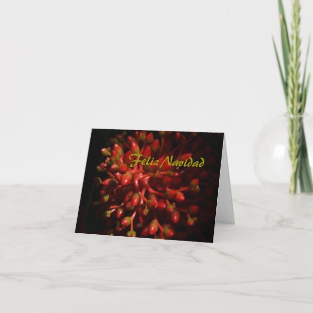 Feliz Navidad (Anverso)