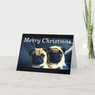 Feliz Navidad