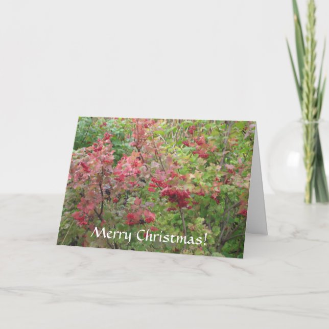 Feliz Navidad (Anverso)