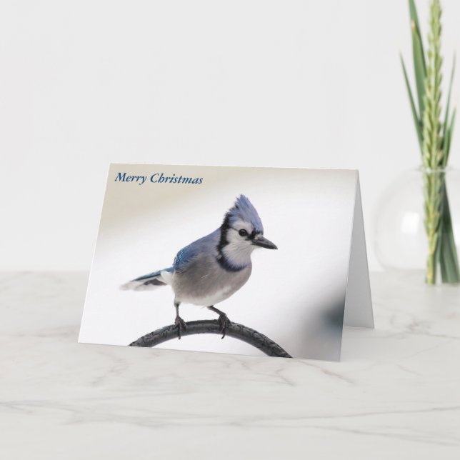 Feliz Navidad (Anverso)