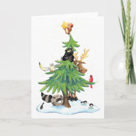 Feliz Navidad