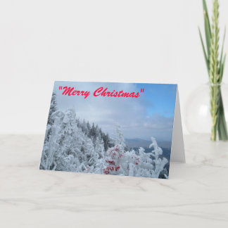 Feliz Navidad
