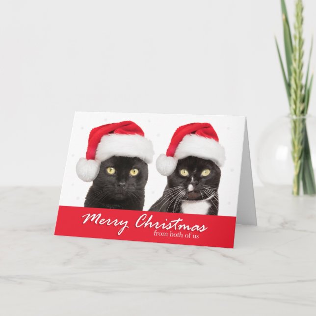 Feliz Navidad a los dos gatos estadounidenses con  (Anverso)