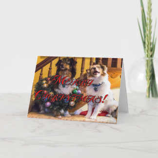 Feliz Navidad a los perros