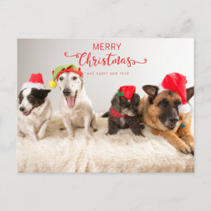 Feliz Navidad a los perros con sombreros de Santa
