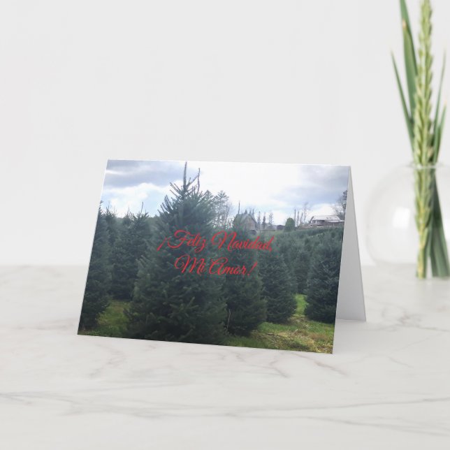 Feliz Navidad a mi Novio. Tarjeta de Navidades de  (Anverso)