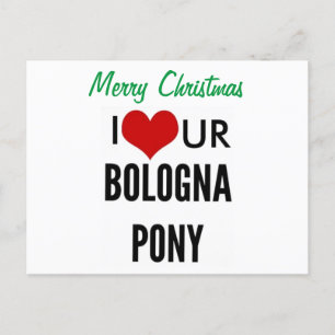 Feliz NAVIDAD AMO A TU PONY DE BOLOGNA