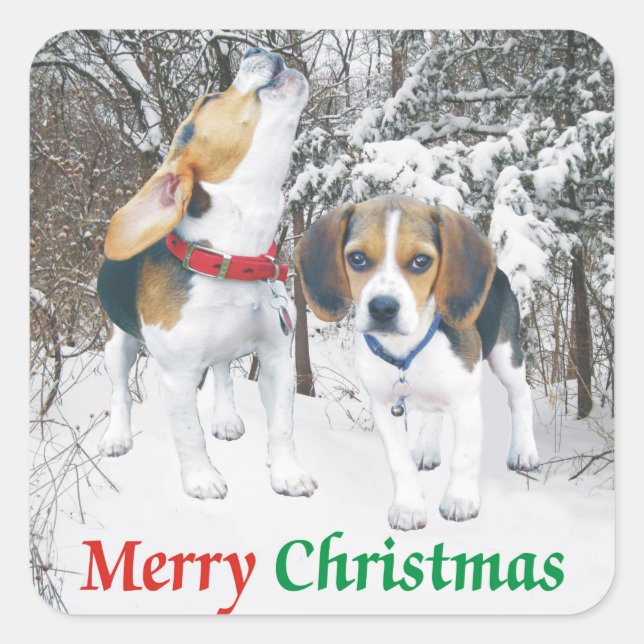 Feliz Navidad Beagle Snowy Woods Pegatinas (Anverso)