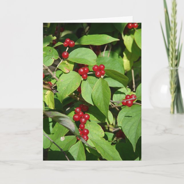 Feliz Navidad Berries Rojos (Anverso)