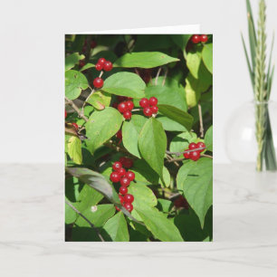 Feliz Navidad Berries Rojos