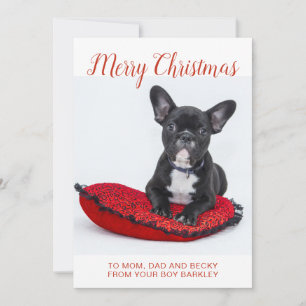 Feliz Navidad Bulldog Francés en Almohada a la Fam