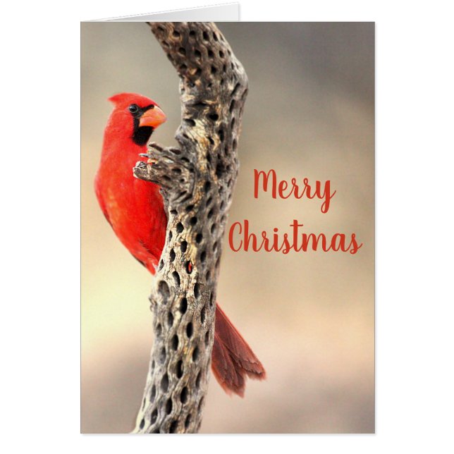 Feliz Navidad Cardenal del Norte (Frente)