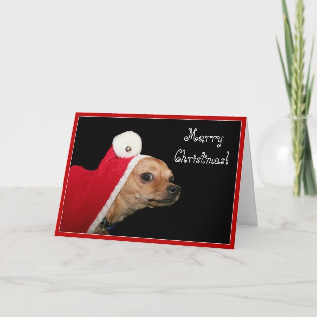 Feliz Navidad Chihuahua tarjeta de saludo (Anverso)