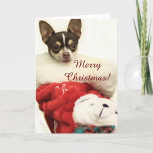 Feliz Navidad Chihuahua tarjeta de saludo