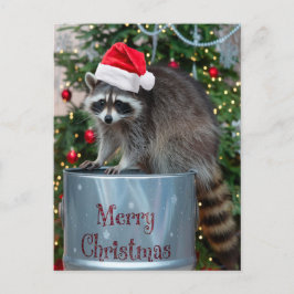 Feliz Navidad con Raccoon Santa Scene