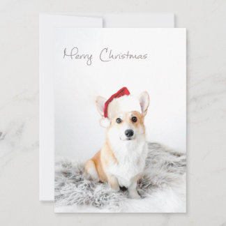 Feliz Navidad Corgi