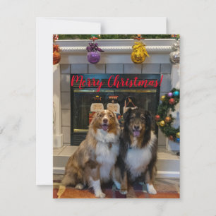 Feliz Navidad de Aussies