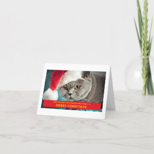 Feliz Navidad De La Mayoría De Nuestra Familia