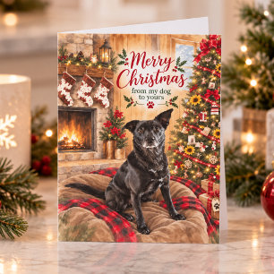 Feliz Navidad De Mi Perro Al Tuyo