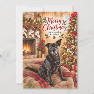 Feliz Navidad De Mi Perro Al Tuyo