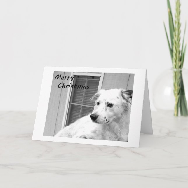 FELIZ NAVIDAD DE NUESTRA CASA A TU CASA (Anverso)