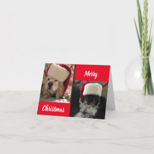 FELIZ NAVIDAD DE NUESTROS PERROS