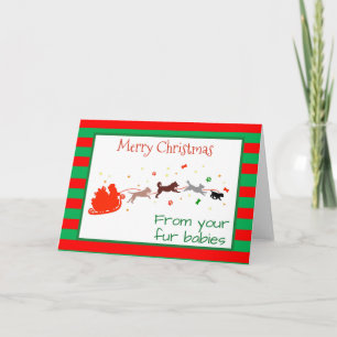 Feliz Navidad de parte de Dogs Tarjeta de Mascotas