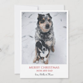Feliz Navidad de parte de los perros