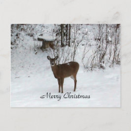 Feliz Navidad Deer