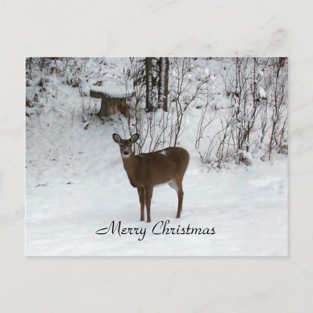 Feliz Navidad Deer (Anverso)