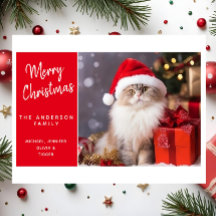 Feliz Navidad del Gato con Sombrero de Santa