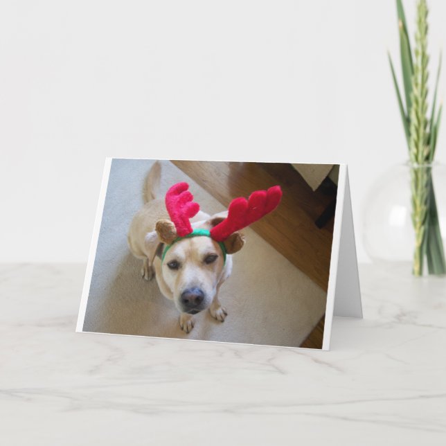 FELIZ NAVIDAD DEL PERRO (Anverso)